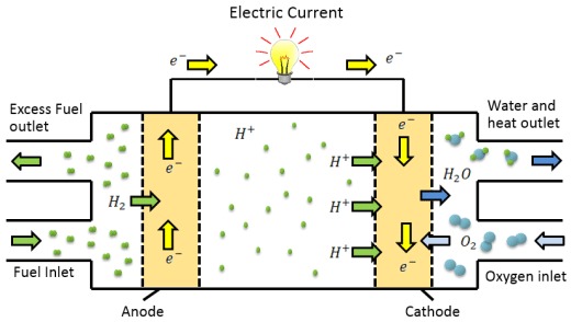 Fuel Cell Work