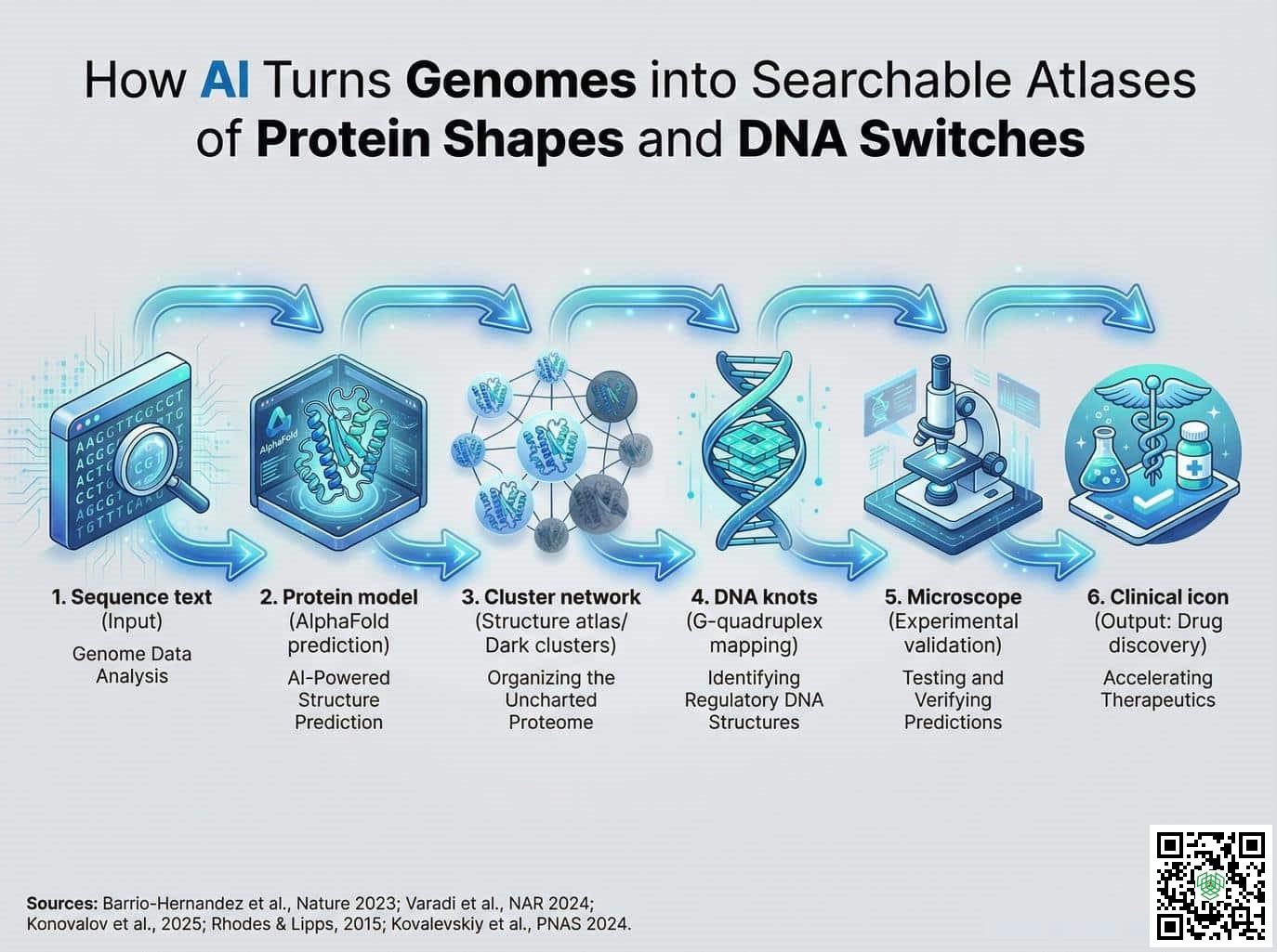 The New Genomic Bottleneck is Human Validation Not AI Discovery